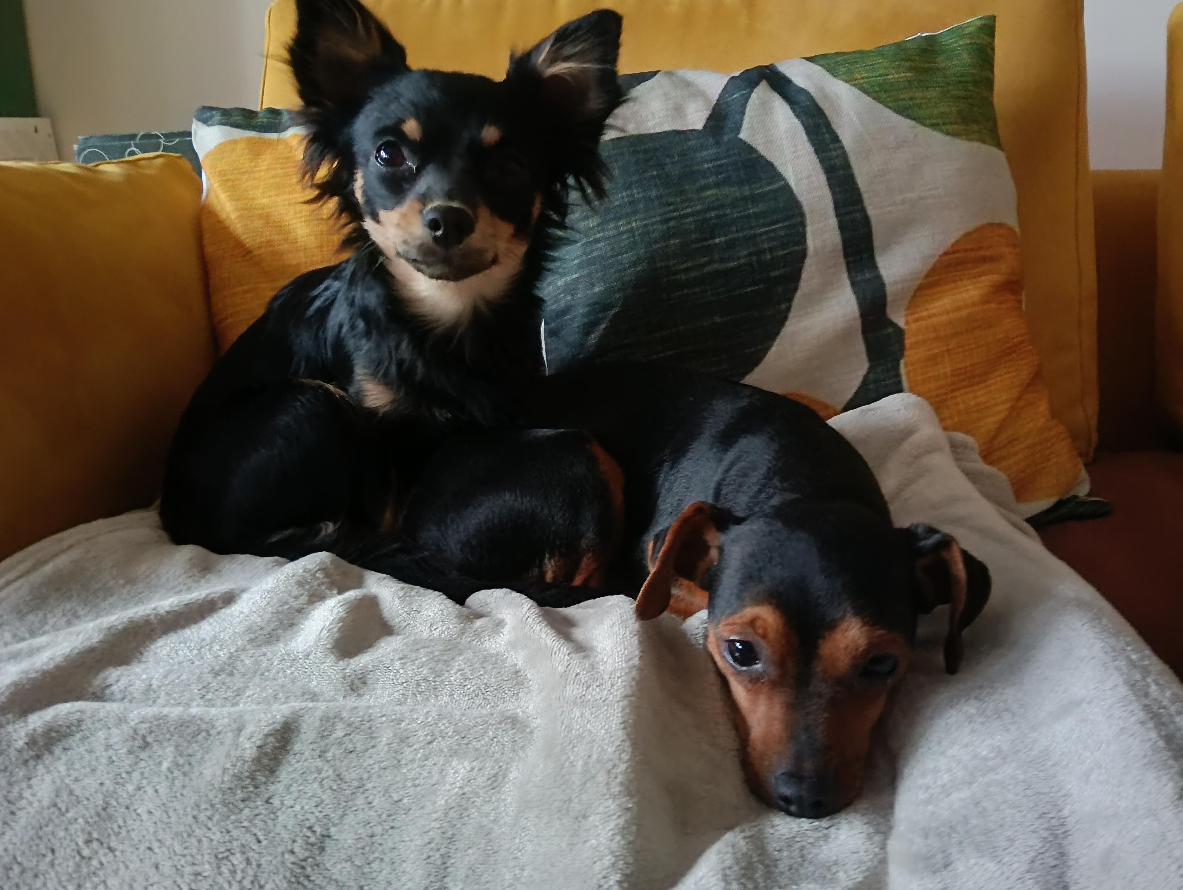Teresa e Orietta